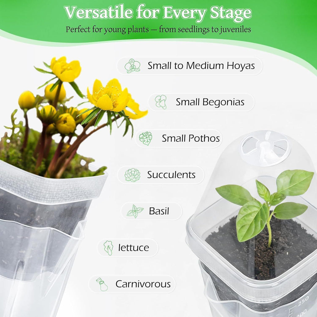 Self-Watering Propagation Station with Adjustable Ventilation Dome, Clear Square Plant Nursery Pot for Starting Seeds, Cuttings, and Succulents Indoors on Windowsills and Desktops (8PCS)