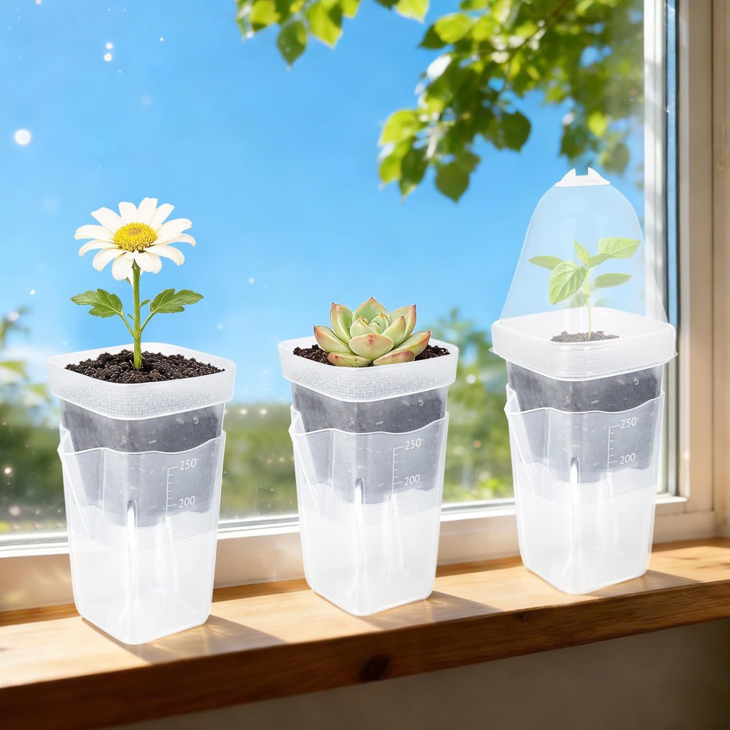 Self-Watering Propagation Station with Adjustable Ventilation Dome, Clear Square Plant Nursery Pot for Starting Seeds, Cuttings, and Succulents Indoors on Windowsills and Desktops (8PCS)